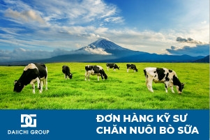 PESANAN INSINYUR PETERNAKAN SAPI PERAH