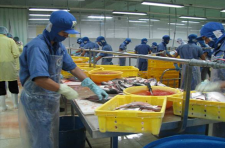 PERINTAH PENGOLAHAN MAKANAN AKUAKULTUR TANPA PEMANASAN