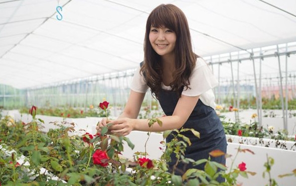 PESANAN UNTUK PERTANIAN BUNGA